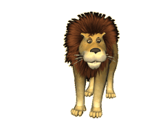 Gif animé lion regarde